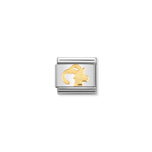 Nomination Italy Composable Classic ZODIAC in stainless steel with 18k gold (10_Capricorn)