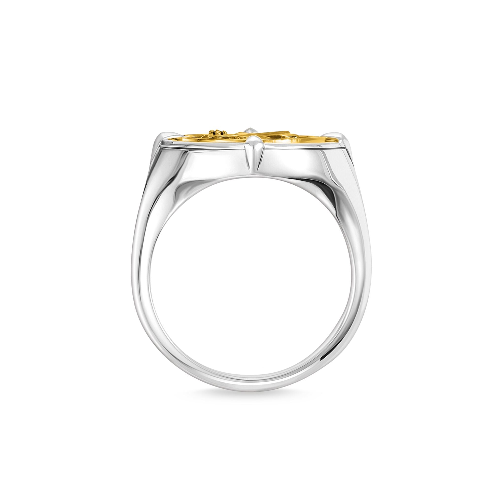 Thomas Sabo 18K Yellow Gold Plated 925 Sterling Blackened Silver Ring from the side